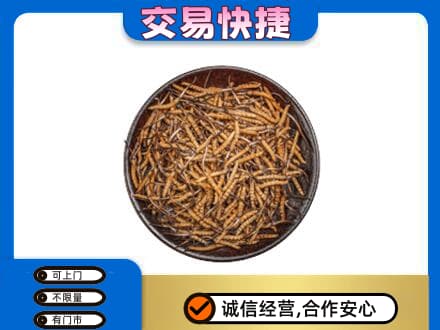 株洲礼品回收虫草.jpg